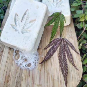 Rectangular white cannabis leaf soaps with cannabis leaf impression